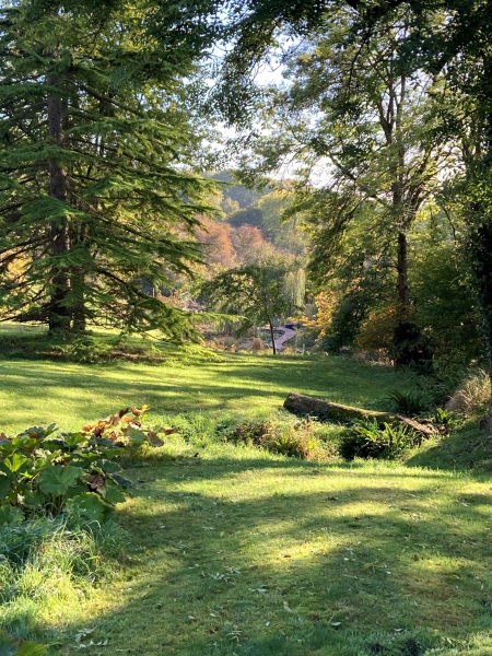 Valley Spring